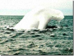 940_antarctic_humanoid_5_tn 940_antarctic_humanoid_5_tn