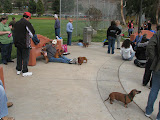 Hanging out with the weiners