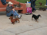 IMG_1555.JPG
