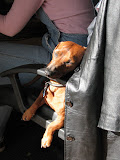 IMG_6231.JPG