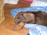 IMG_2616.JPG