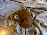 0924080739.jpg