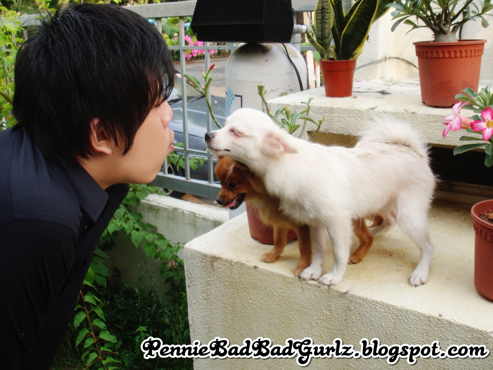 [DSC016144.jpg]