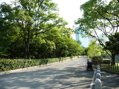 [cadeiras de rodas podem circular sem problemas no jardim[4].jpg]