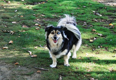 [amiga de aveiro[12].jpg]