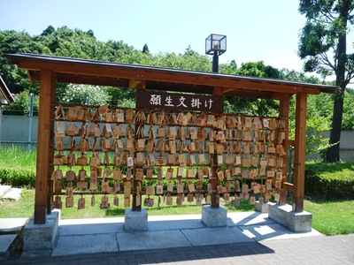 [2. ushiku daibutsu entrada[5].jpg]
