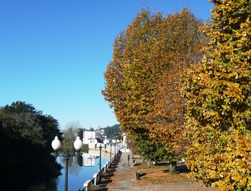 Agueda - margem do rio