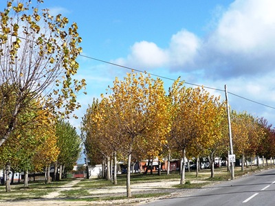 [Largo da feira - Palhaça 1[6].jpg]