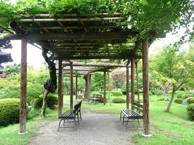 [15.templo Toji - jardim - lago - local para descansar[4].jpg]