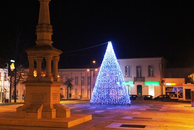 [Anadia - arvore Natal 2010 1[4].jpg]