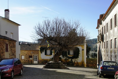 [Idanha a Velha - amoreira centenária[4].jpg]