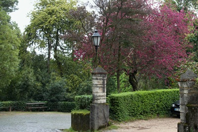 [Buçaco - jardim do palácio 3[4].jpg]