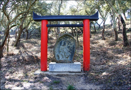 Buddha Eden - avenida de torii