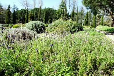 [jardim serralves - porto - jardim aromaticas[4].jpg]
