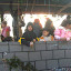 PICT2531.JPG