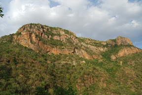 DSC_2592.JPG