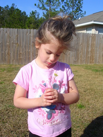 [DSC00098[2].jpg]