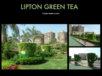 Lipton