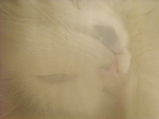 DSCN0512
