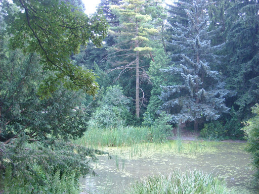 DSCN0512