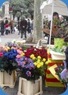 sanjordi10