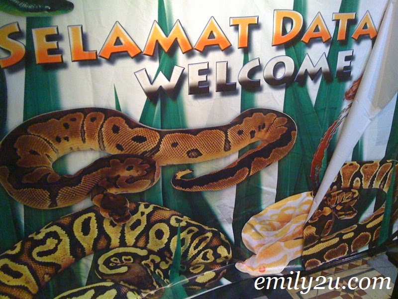 snake exhibition