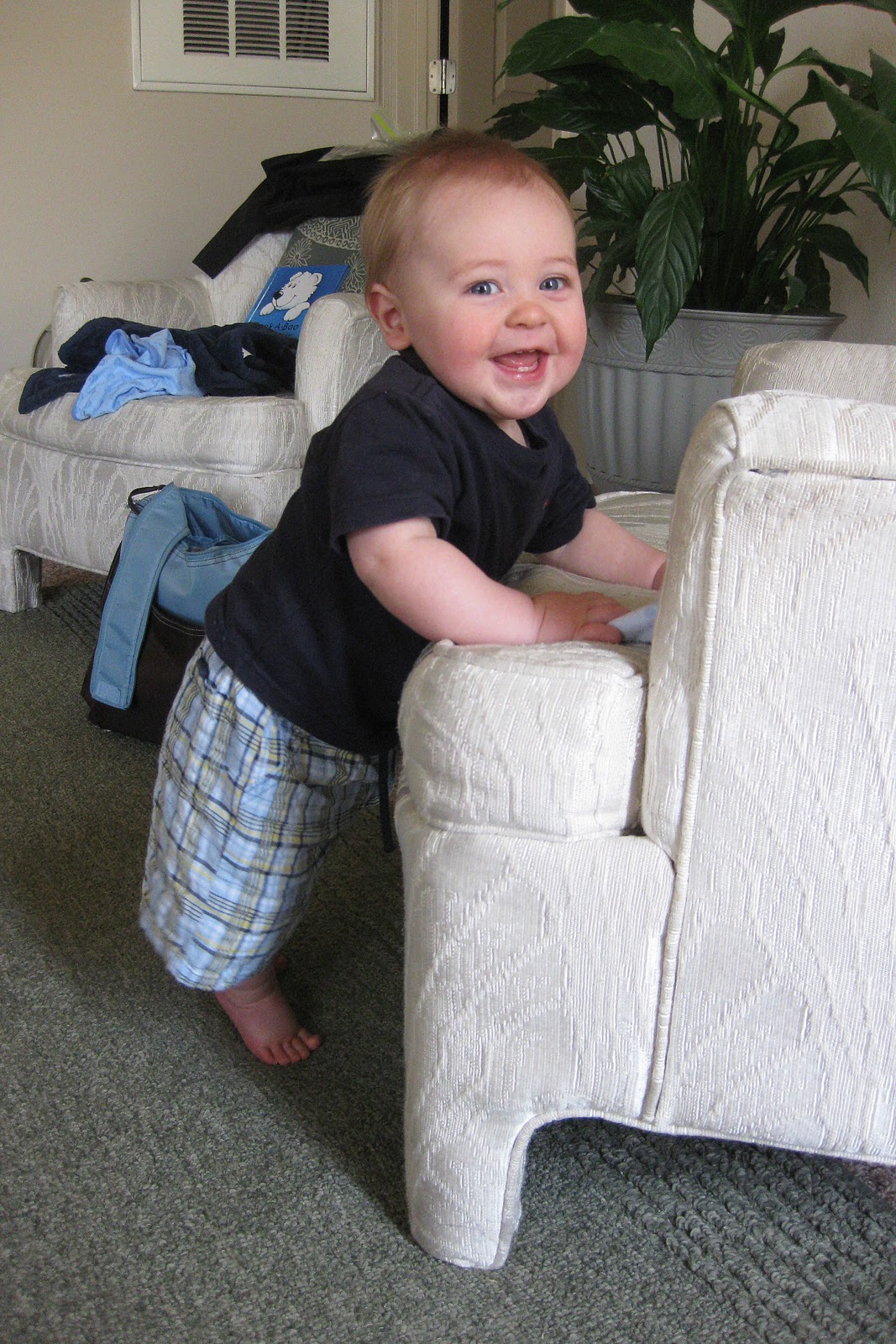 [29 March 2010 057[3].jpg]
