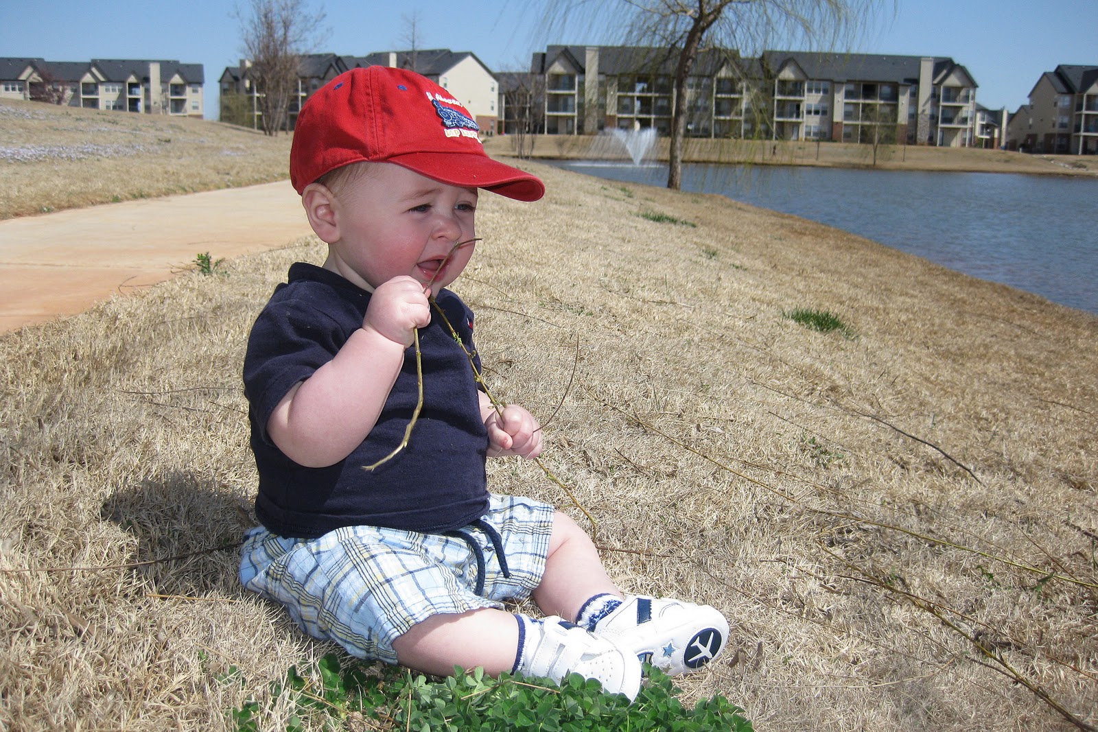 [29 March 2010 095[2].jpg]