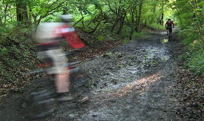 whizzing through Poynton woods.