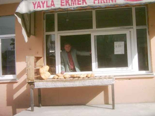 Yonetim.html