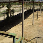 circuito palos 022.jpg