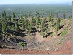 Oregon 037