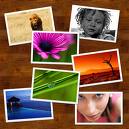 Photography, photo