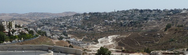 [P1020121[9].jpg]
