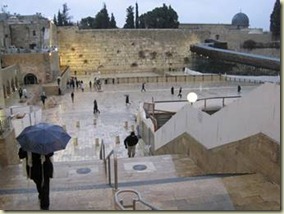 image003 (5)