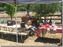 26-27 Jun Horse Show Eddy Ranch 458
