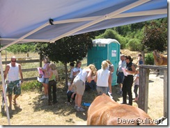 26-27 Jun Horse Show Eddy Ranch 487