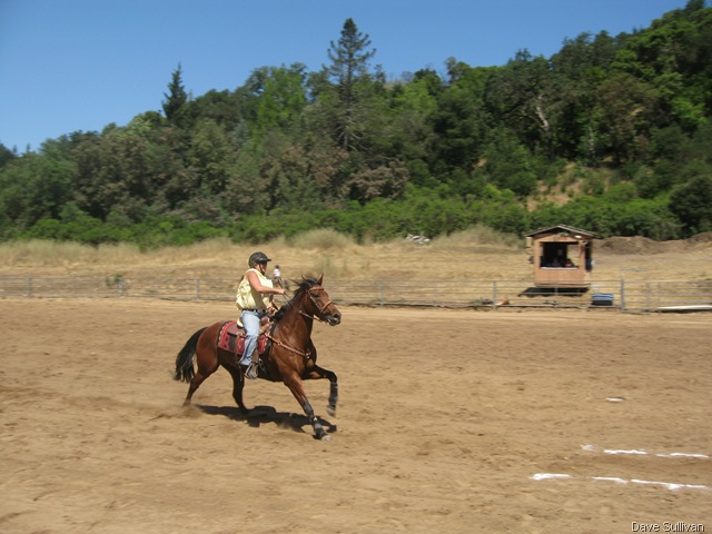 [26-27 Jun Horse Show Eddy Ranch 258[1].jpg]