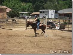 26-27 Jun Horse Show Eddy Ranch 335