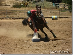 26-27 Jun Horse Show Eddy Ranch 454
