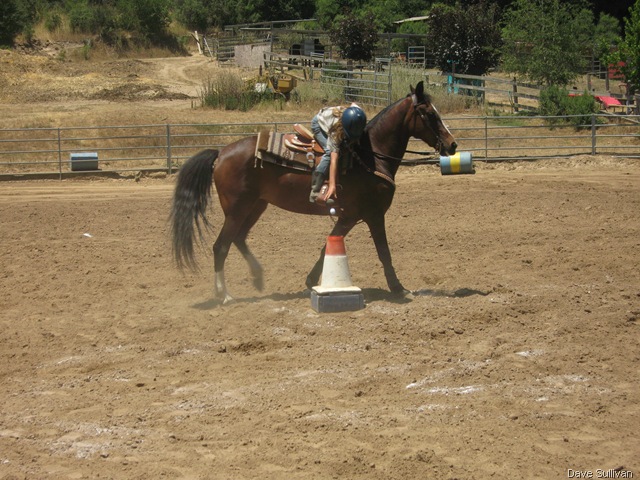 [26-27 Jun Horse Show Eddy Ranch 435[4].jpg]