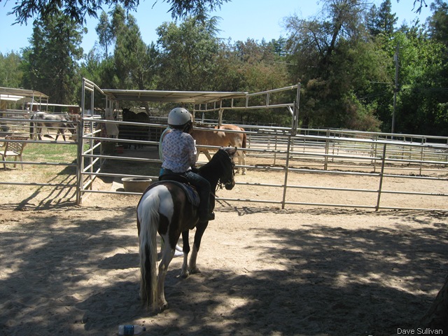 [26-27 Jun Horse Show Eddy Ranch 150[2].jpg]