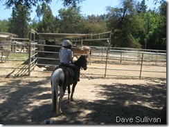 26-27 Jun Horse Show Eddy Ranch 150