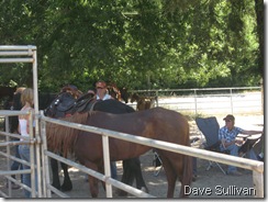 26-27 Jun Horse Show Eddy Ranch 162