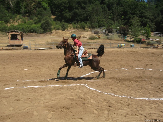 [26-27 Jun Horse Show Eddy Ranch 198[2].jpg]