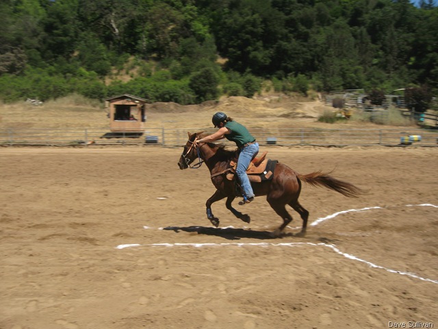 [26-27 Jun Horse Show Eddy Ranch 211[1].jpg]