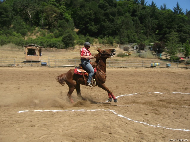 [26-27 Jun Horse Show Eddy Ranch 222[2].jpg]