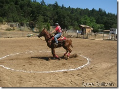26-27 Jun Horse Show Eddy Ranch 226