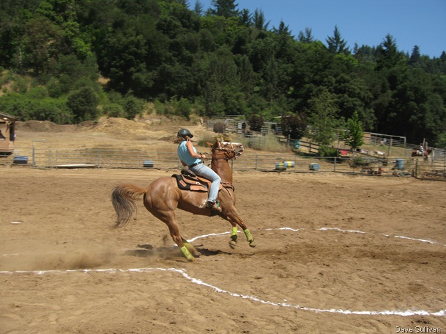 [26-27 Jun Horse Show Eddy Ranch 241[1].jpg]