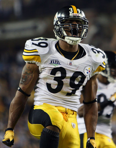 Troy Polamalu images wallpaper